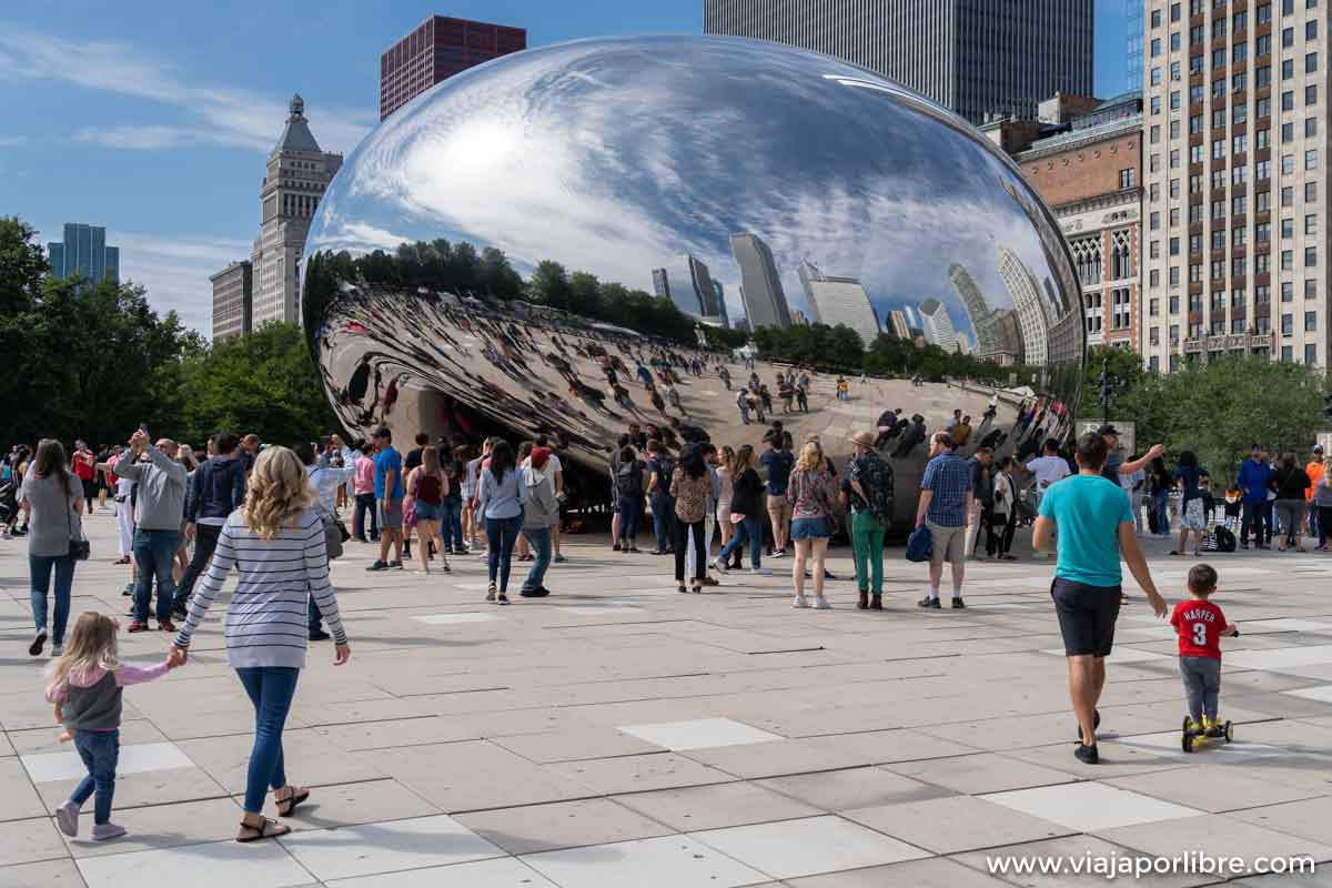 The bean The bean