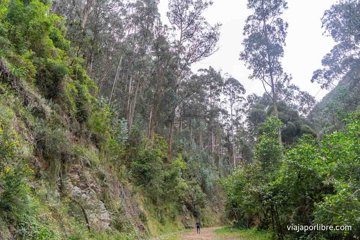 Inicio de la ruta Inicio de la ruta