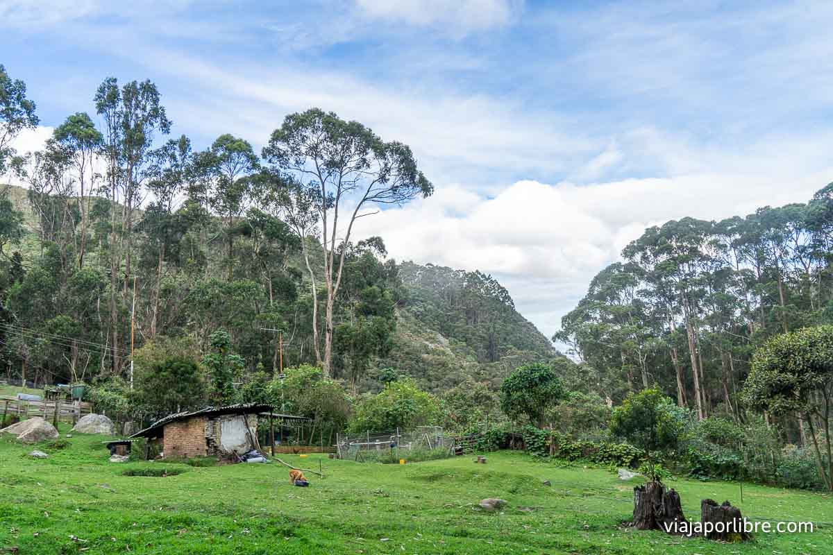 Quebrada la vieja Quebrada la vieja