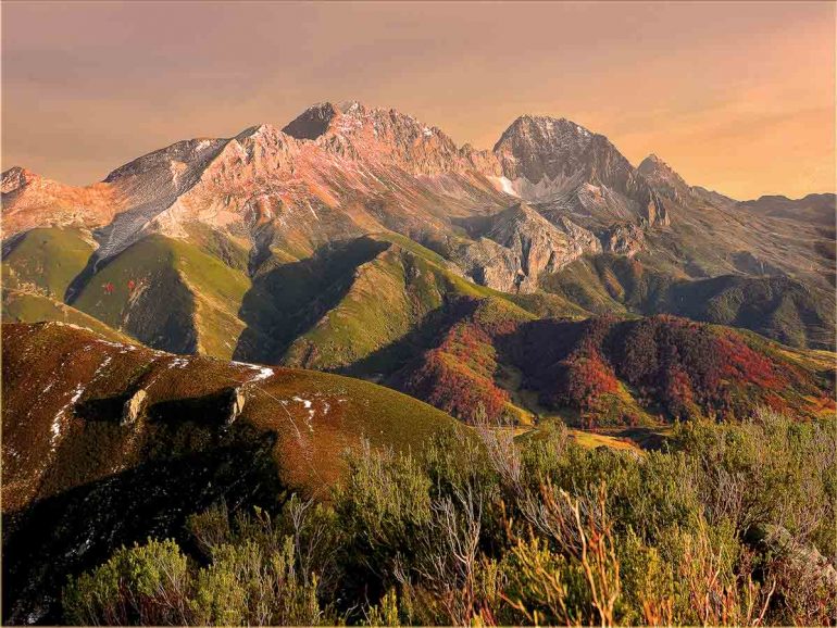 Babia