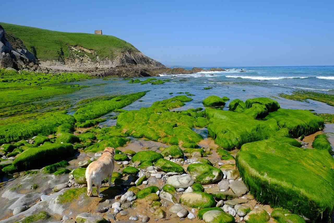 Playas de Cantabria