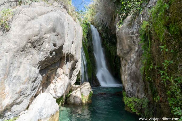 Algar