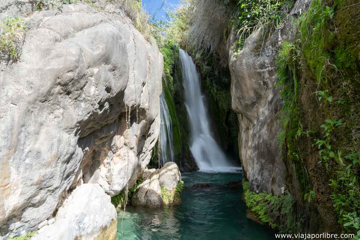 Algar