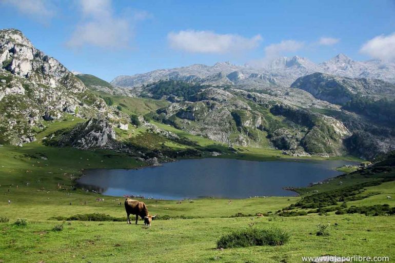 Lagos de Covadonga