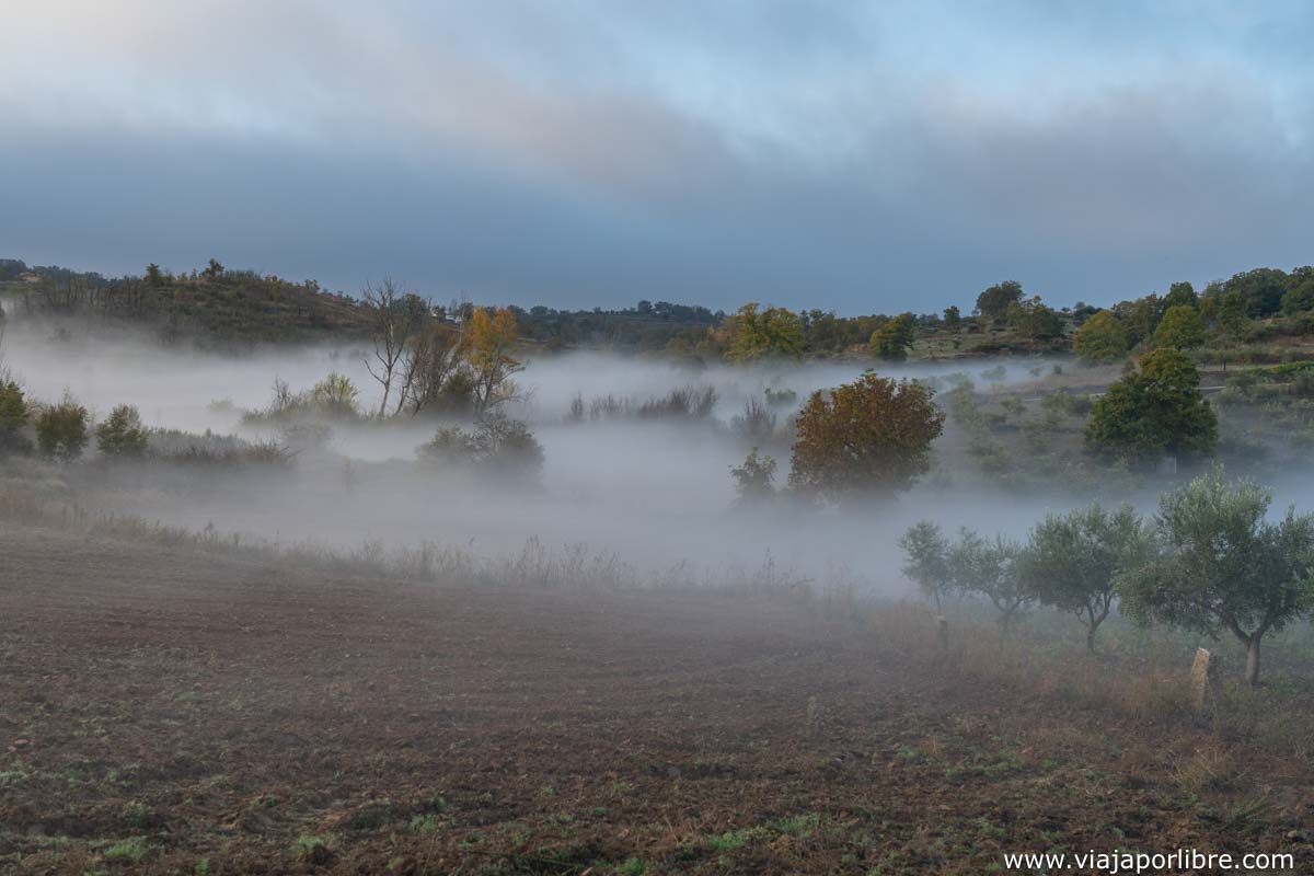Niebla Niebla