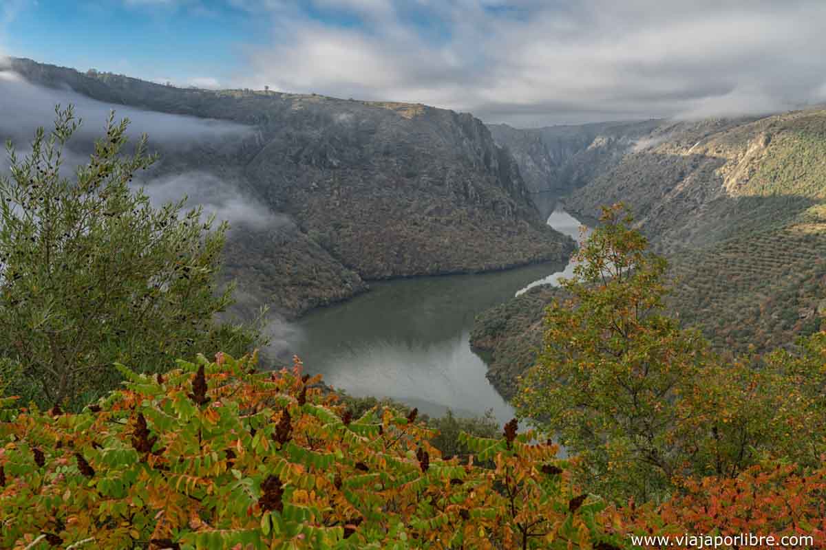 Otoño en las Arribes Otoño en las Arribes