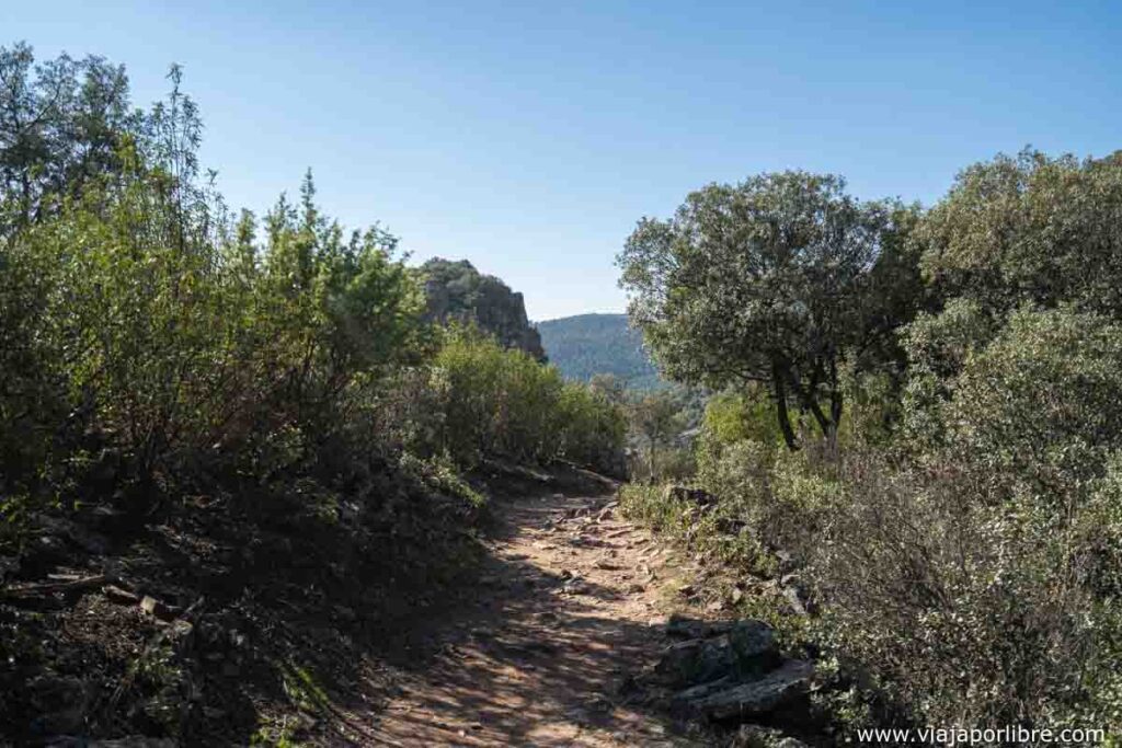Sendero a la Cimbarra