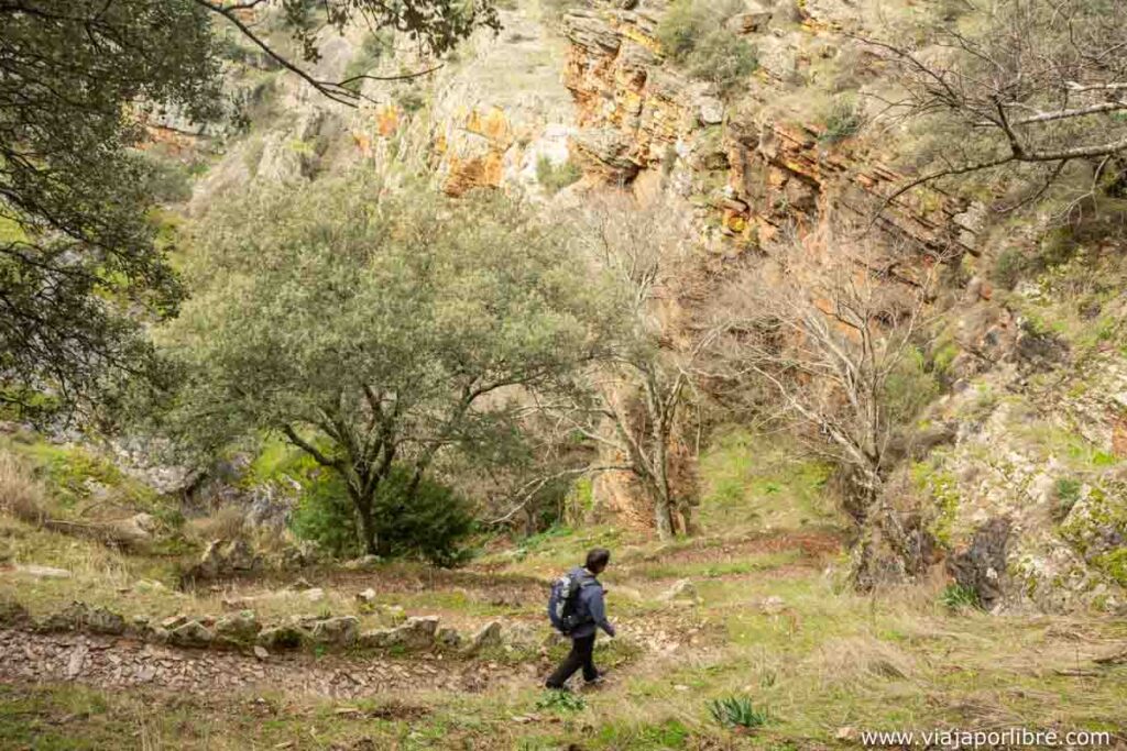 Sendero a la base de la cascada
