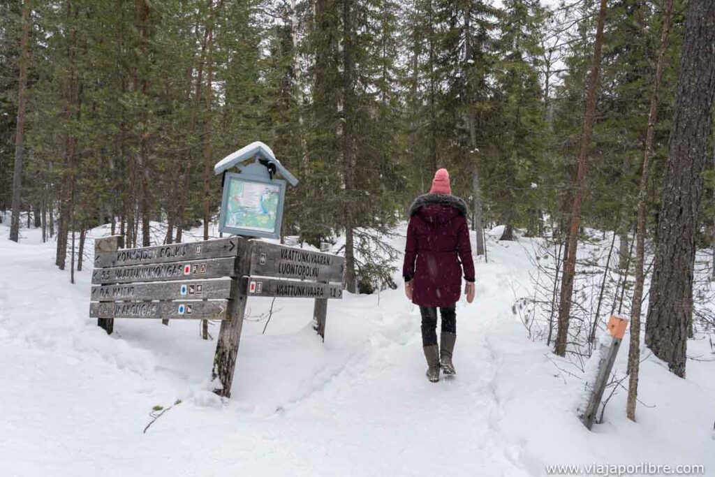 Senderismo en Rovaniemi