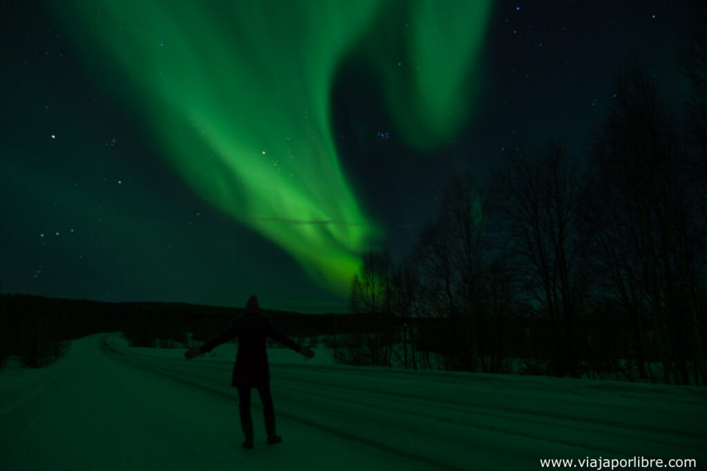 Auroras Boreales