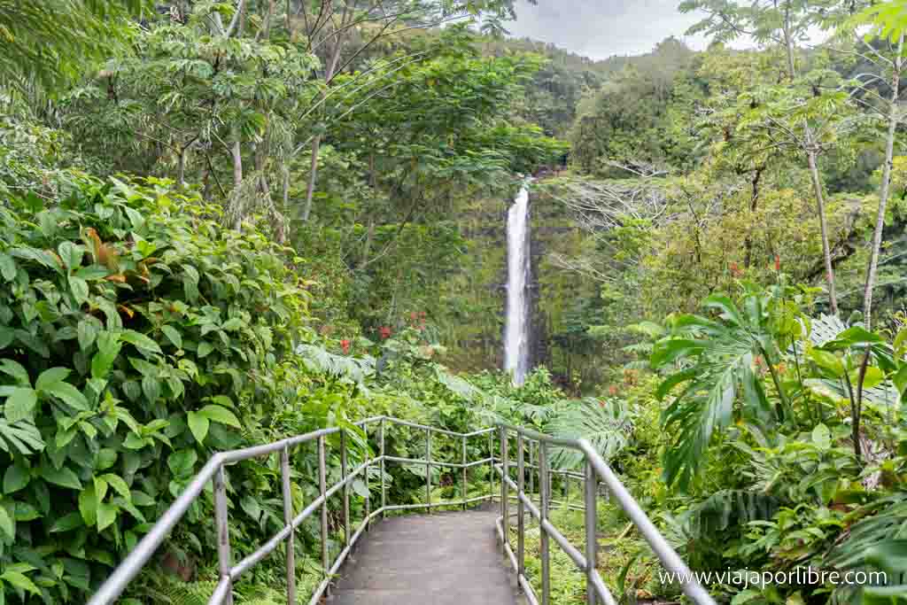 Llegando a la cascada principal