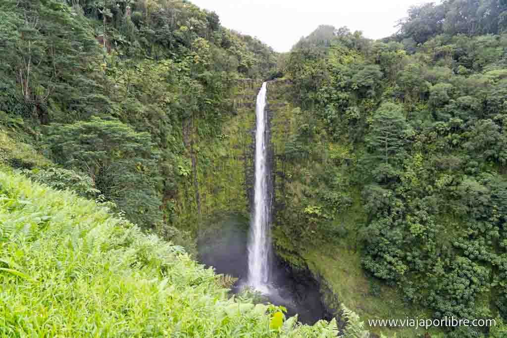 Akaka Falls