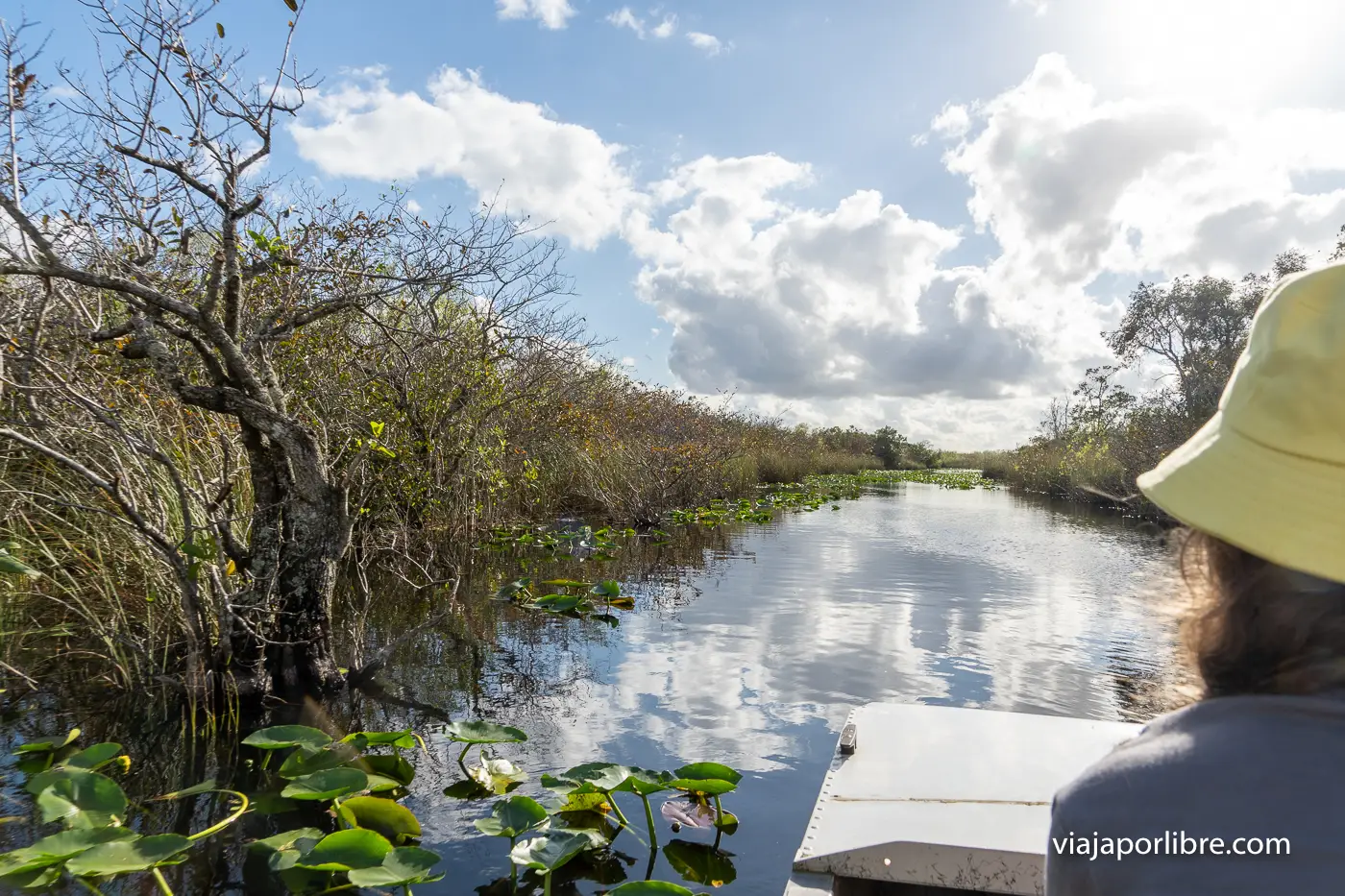 Everglades