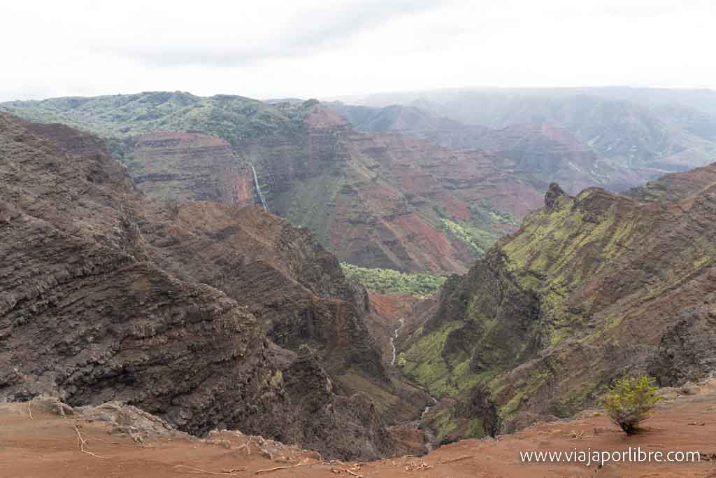 Waimea Canyon