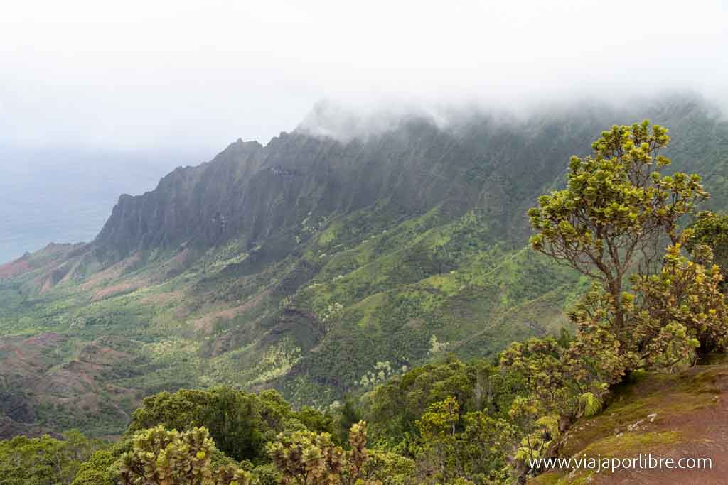 Koke'e State park