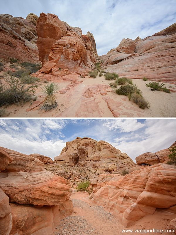 White Domes Loop - Valley of Fire