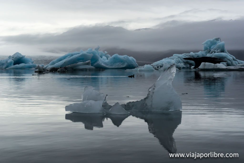 Jökulsárlón, el mayor lago glaciar de Islandia