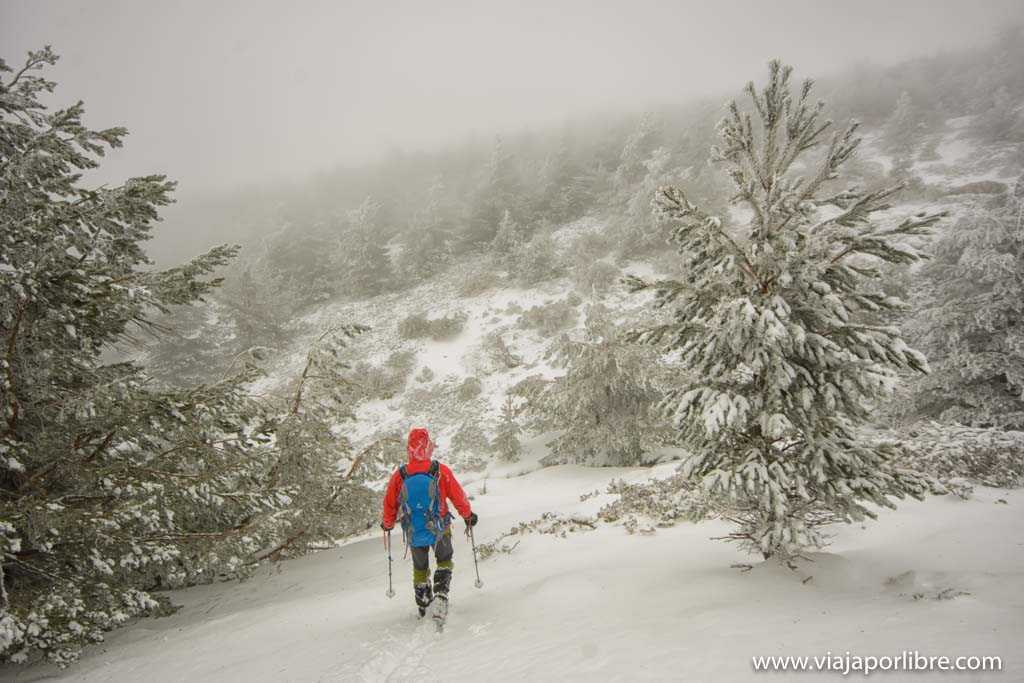 Ascensión al Pico del Nevero