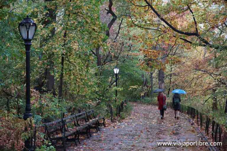 Estados Unidos - ¿Cómo recorrer Central Park?. Running, paseando o en bicicleta Central Park bajo la lluvia