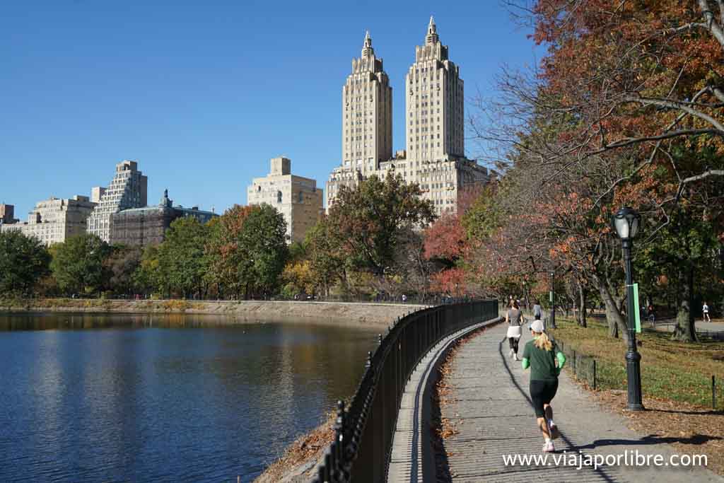 Central park el paraíso de los runners