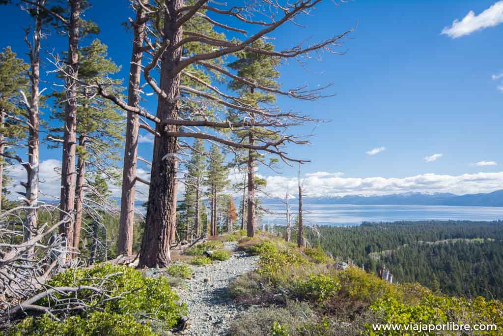 Las mejores vistas del Lago Tahoe, ascensión al monte Tallac