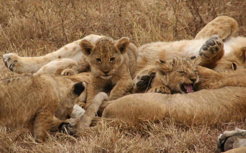 Tanzania