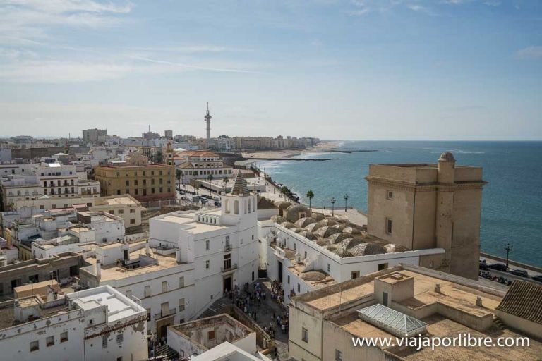 Catedral de Cadiz