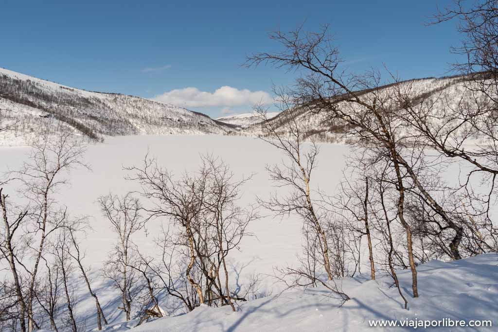 Visitando las comunidades Sami de la Noruega Ártica