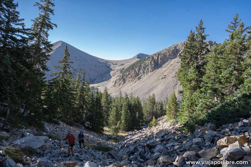 Trekking en Great Basin y el Wheeler Peak (Nevada, USA)