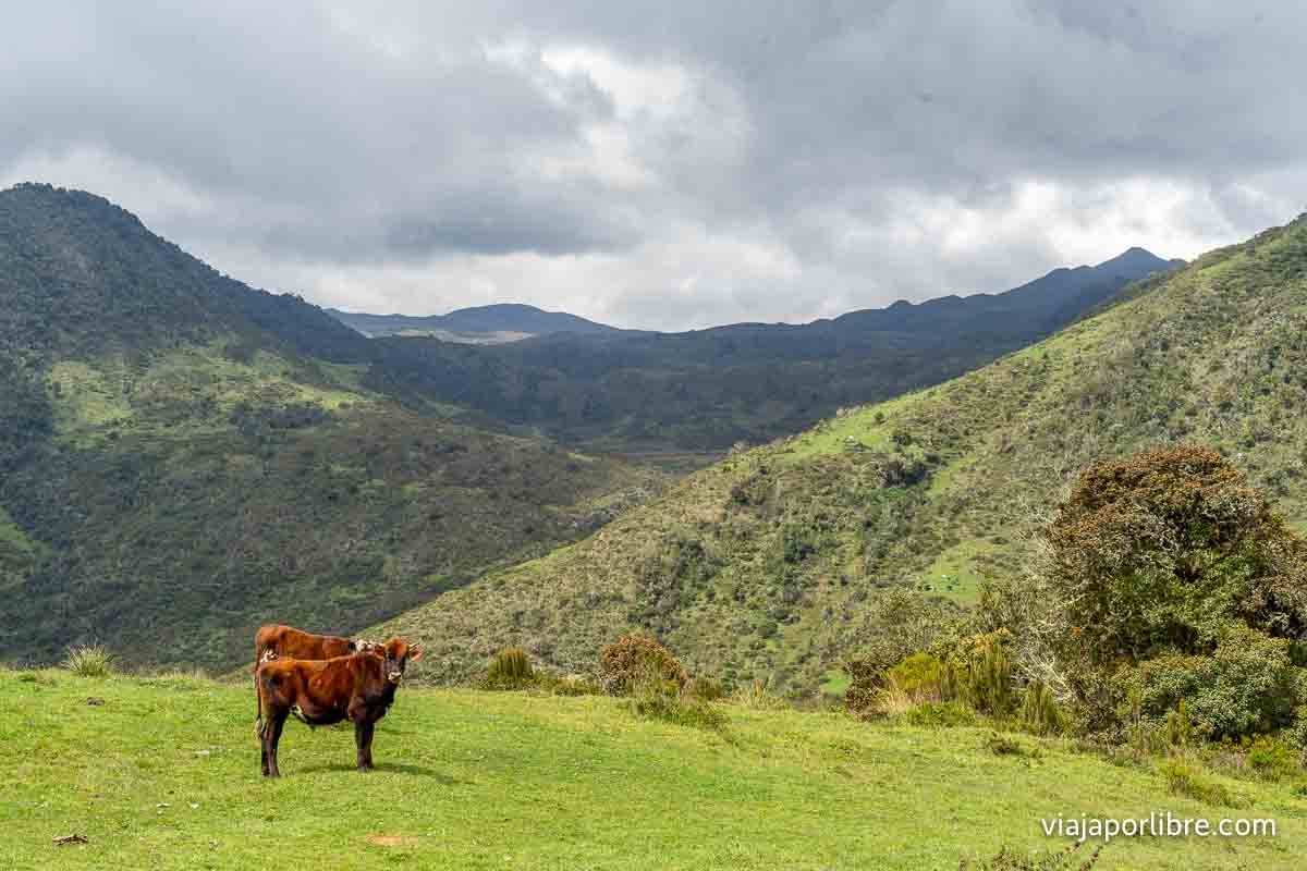 Colombia - Ascensión al Nevado del Tolima (Etapa de Termales a Palomar 4/4 ) Termales a Palomar