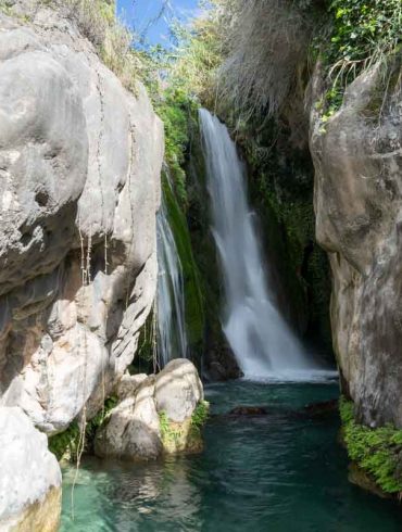 Algar
