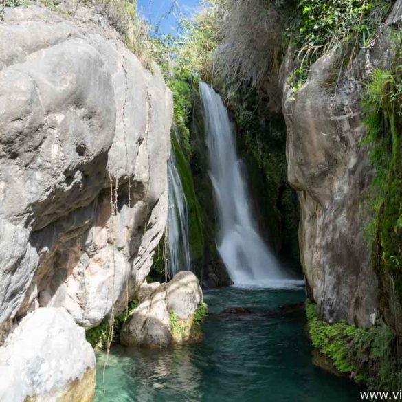 Algar