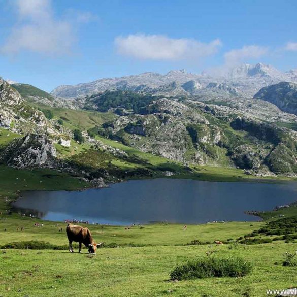 Lagos de Covadonga