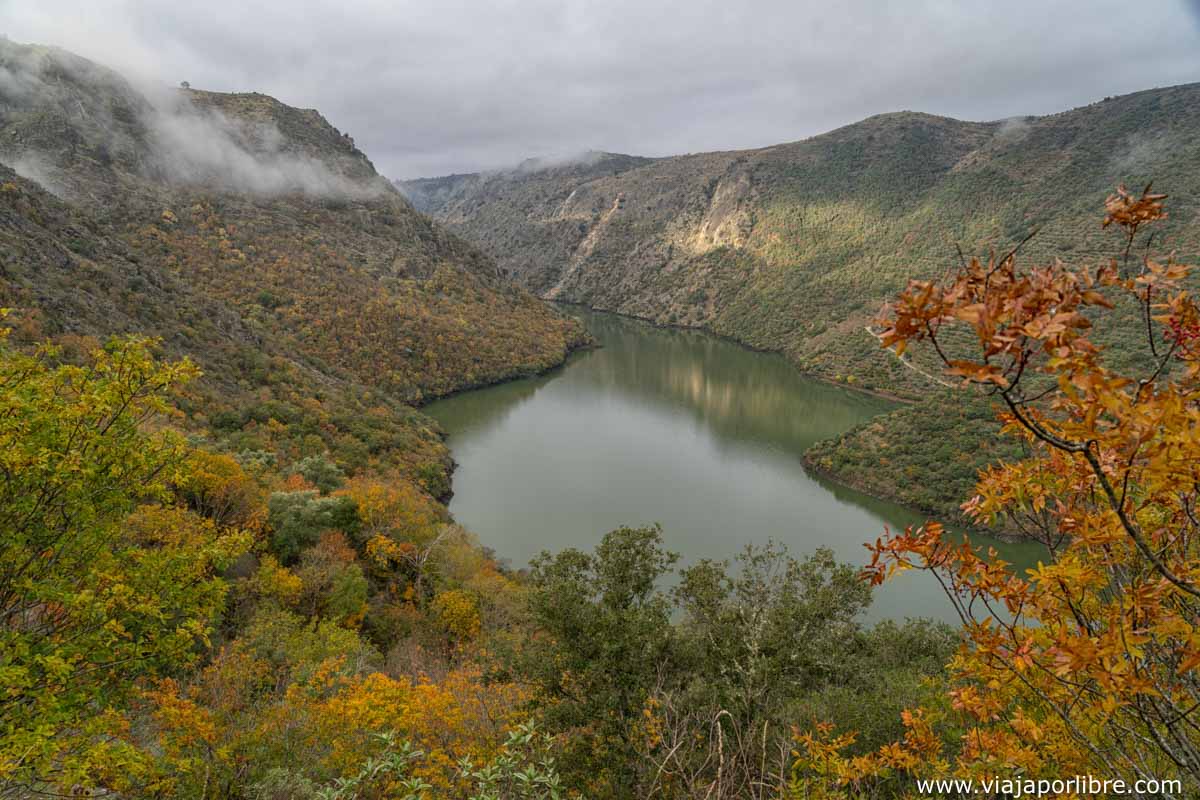 El Rupitín