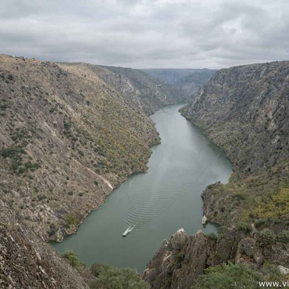 Crucero por las Arribes