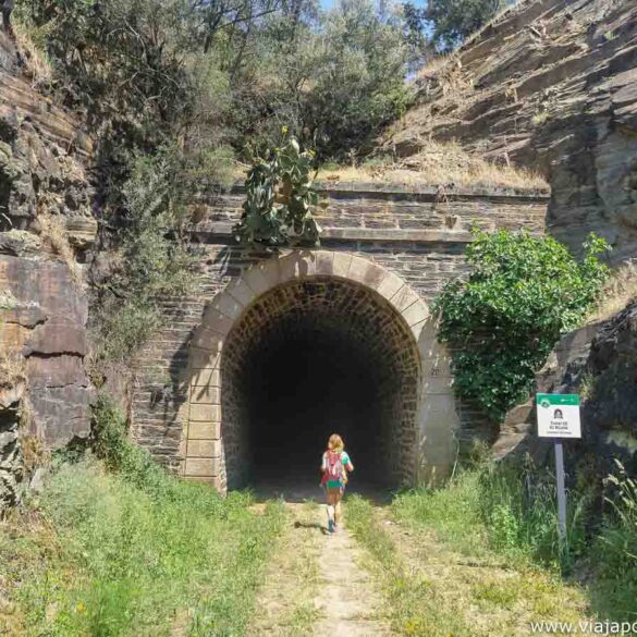 Camino de Hierro