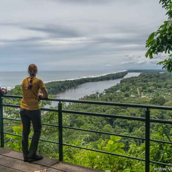 parque nacional toruguero costa rica 1 3