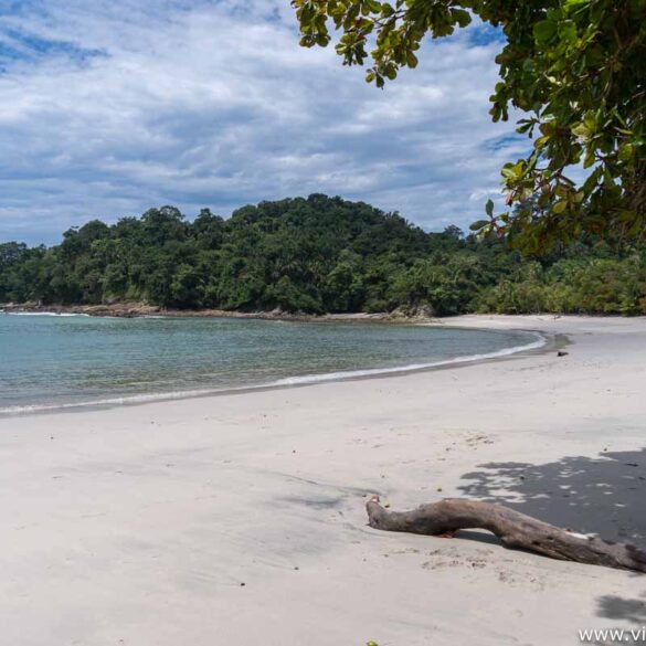 parque manuel antonio 1 6