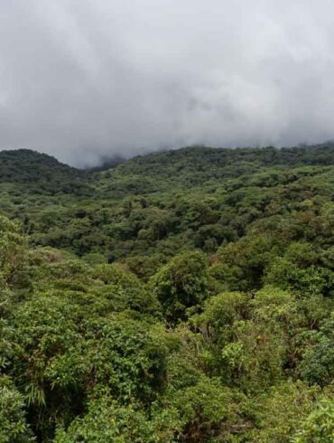 Reserva de Santa Elena