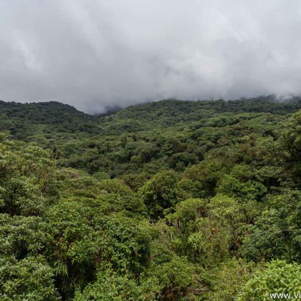 Reserva de Santa Elena