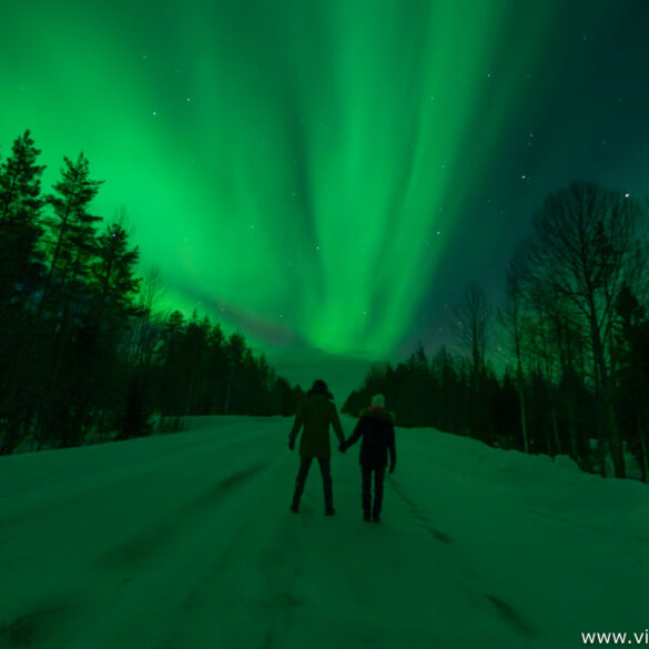 Auroras