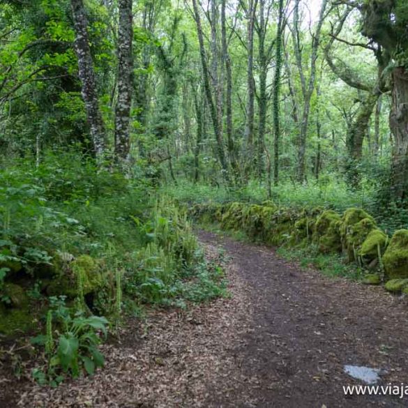 Camino de Santiago