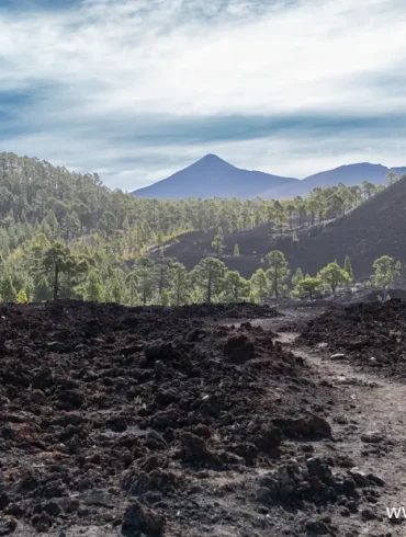Volcan Chinyero Volcan Chinyero 2