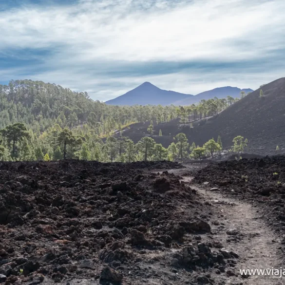 Volcan Chinyero Volcan Chinyero 2
