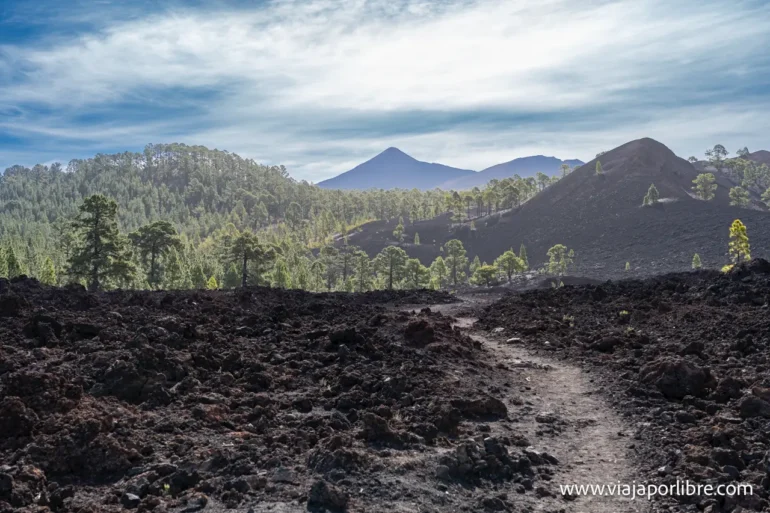 Islas Canarias - Ruta circular en el volcán Chinyero (Tenerife) Volcan Chinyero