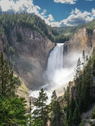 yellowstone Yellowstone 21 1