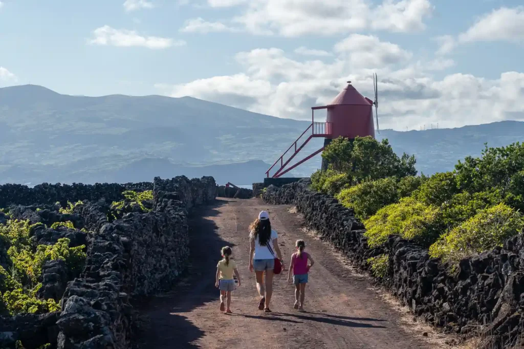 Pico - Islas Azores
