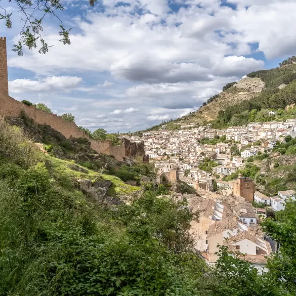 Cazorla 01 1