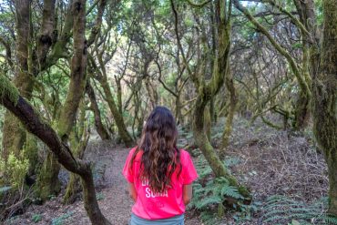 Senderismo en El Hierro