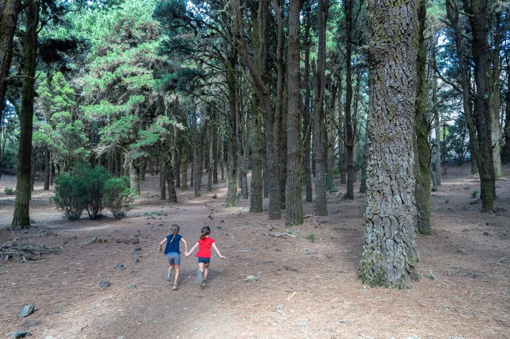 Senderismo en El Hierro